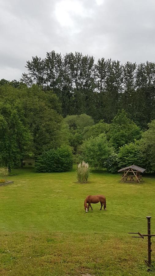 Chambres D'Hotes La Baudriere Livaie Zewnętrze zdjęcie