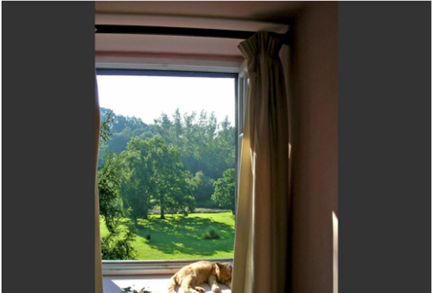 Chambres D'Hotes La Baudriere Livaie Pokój zdjęcie
